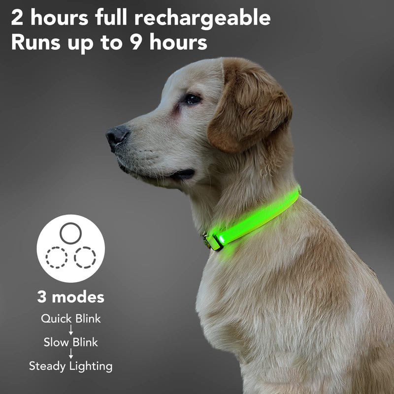 PZRLit LED Light Up Dog Collars Micro USB Rechargeable Waterproof, Full Adjustable & Bright Lighted Glow Dark Dog Collar Light for Night Walking for Large Medium Small Dogs Green - BeesActive Australia