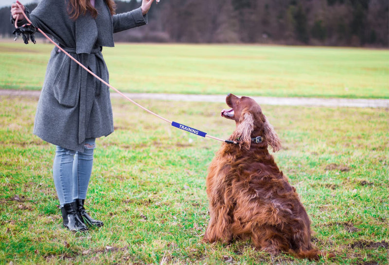 Tacticollar - Do Not Pet, Adopt Me, Training, and Service Dog Leash Sleeves, Double Sided, Highly Visible, Communicate Your Dogs Needs to Prevent Accidents - BeesActive Australia