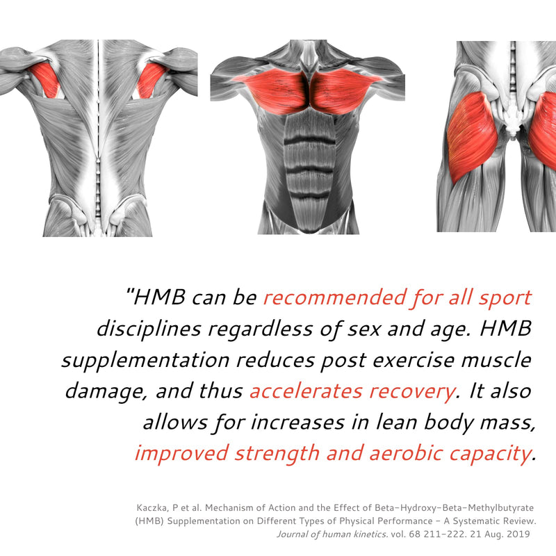 Mr Run's HMB - Supports Muscle Growth & Fitness - 1000mg per Serving - Protect from Muscles Loss During Calorie Cutting, Ageing or Inactivity, Improve Strength & Cardio - 120 Capsules, 60 Servings - BeesActive Australia