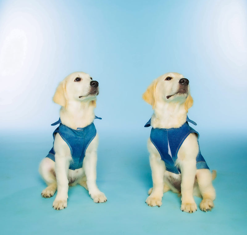 Doggy Parton Apparel and Accessories Medium Blue - BeesActive Australia