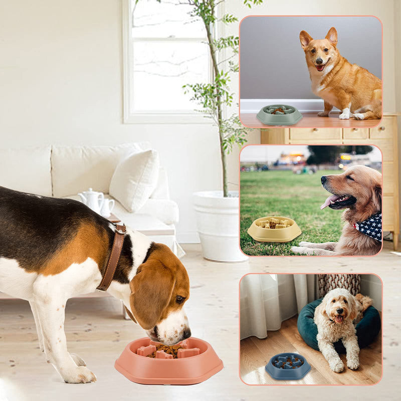 DPOEGTS Slow Feeder Dog Bowl, Puzzle Dog Food Bowl Anti-Gulping Interactive Dog Bowl and Water Dog Bowl for Small/Medium Sized Dogs Bone-Blue-(Not Travel Bowl) - BeesActive Australia