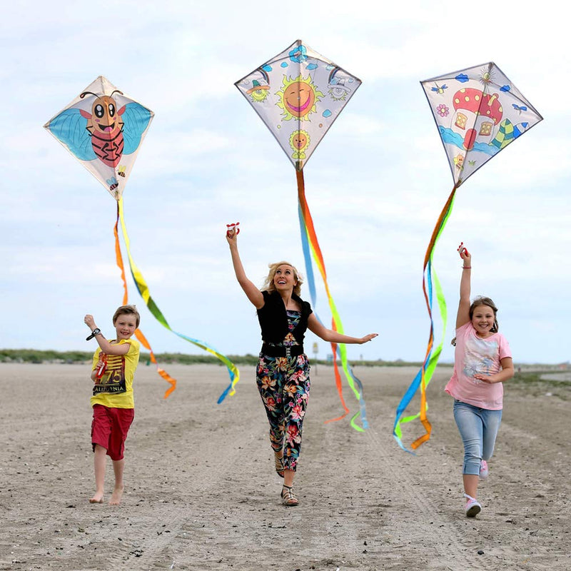 DIY Kites for Kids Kite Making Kit Bulk, Decorating Coloring Kite Party Pack,White Diamond Kite Kits (2 Pack Ready to Color-Bird Bee) 2 Pack Ready to Color-Bird Bee - BeesActive Australia