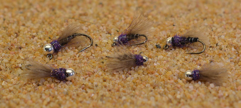 Tungsten Purple Hot Spot Jig Head Fly Euro Nymph Tied on Hanak Hooks - 6ct Packs Hook #12 - BeesActive Australia