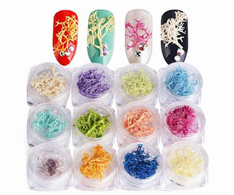 XICHEN 12 Color/PCS 3D Dry Flowers Nail Art Stickers Decoration Natural Nail Supplies - BeesActive Australia