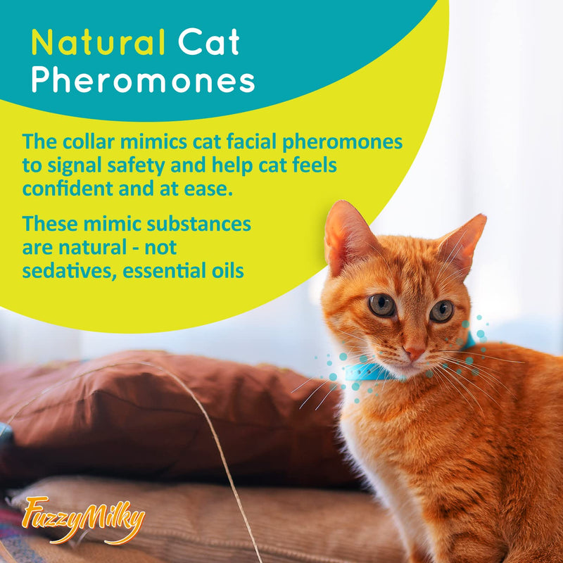 Fuzzymilky Cat Calming Collars - 4 Packs Cat Collar Infused with Synthetic Pheromones - Cat Pheromone Diffuser Necklace for Stress Relief, Travel, Keeping Kitty Quiet (Blue) - BeesActive Australia