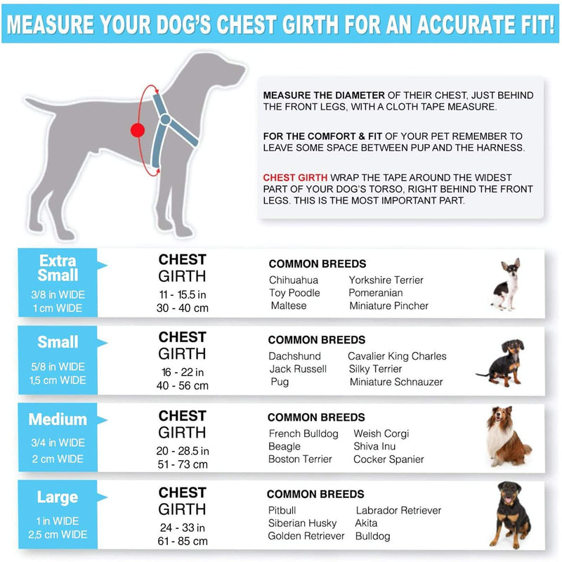 Pawtitas Pet Reflective Step in Dog Harness or Reflective Vest Harness Comfort Control Training Walking of Your Puppy Harness/Dog Harness Medium (Pack of 1) Teal - BeesActive Australia