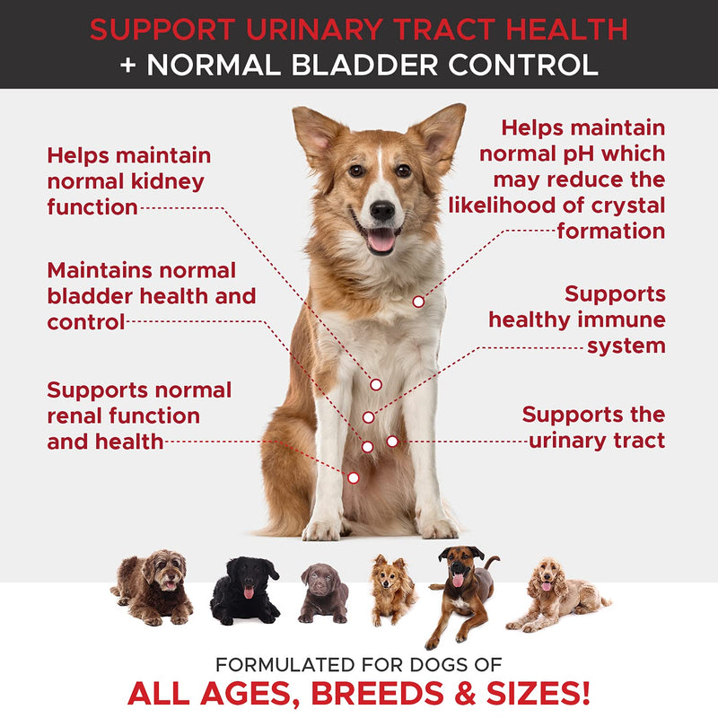 PetHonesty Cranberry Bladder Health for Dogs – Contains Active Ingredients - Cranberry & D-Mannose to Help Support Dog Urinary Tract Health, Dog Bladder Support, & Kidney Support for Dogs (90 ct) Chicken - BeesActive Australia
