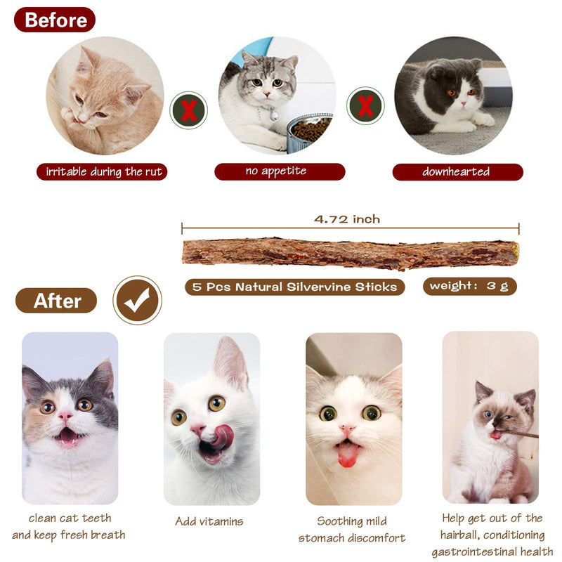 Cat Toys for Indoor Cats, 3pcs 16 Inch Natural Wood Cat Teaser Wand Toy with Teaser Refills for Cat Kitten Having Fun Exerciser Playing, Bonus 5pcs Catnip Sticks for Cat Teeth Cleaning Sisal - BeesActive Australia