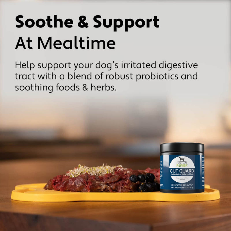 Four Leaf Rover: Gut Guard - Dog Probiotics, Prebiotics and Organic Herbs for Gut Health and Immune Support - Up to 60 Servings, Depending on Dog’s Weight - Vet Formulated - for All Breeds - BeesActive Australia