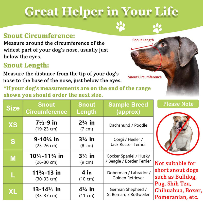 Dog Muzzle, Printed Basket Muzzle for Small Medium Large Dogs Dachshund, Beagle, German Shepherd, Breathable Pet Muzzles to Prevent Biting Chewing Scavenging Graffiti M-(Snout 10¼’’-11¾’’) - BeesActive Australia