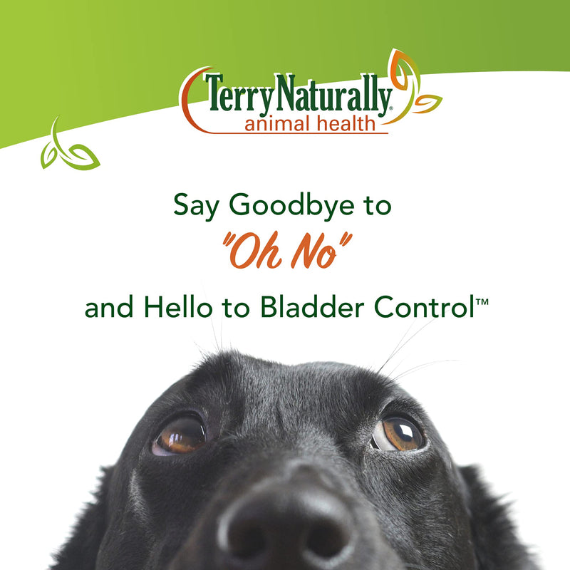 Terry Naturally Animal Health Bladder Control - 30 Capsules - 100 mg Angelica - Bladder Health & Urinary Tract Support for Dogs - Non-GMO, Canine Only - 30 Servings - BeesActive Australia