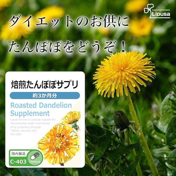[Ripsa Official] Roasted Dandelion Supplement Approximately 3 months supply x 2 bags C-403-2 Potassium Made in Japan - BeesActive Australia