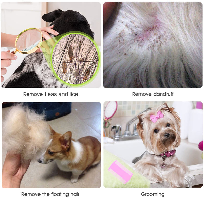 Lice Comb Flea Comb For Cats Dog Comb Pet Comb Set Metal Fine Tooth Comb Remove Tear Marks Float Hair Dandruff (C) C - BeesActive Australia
