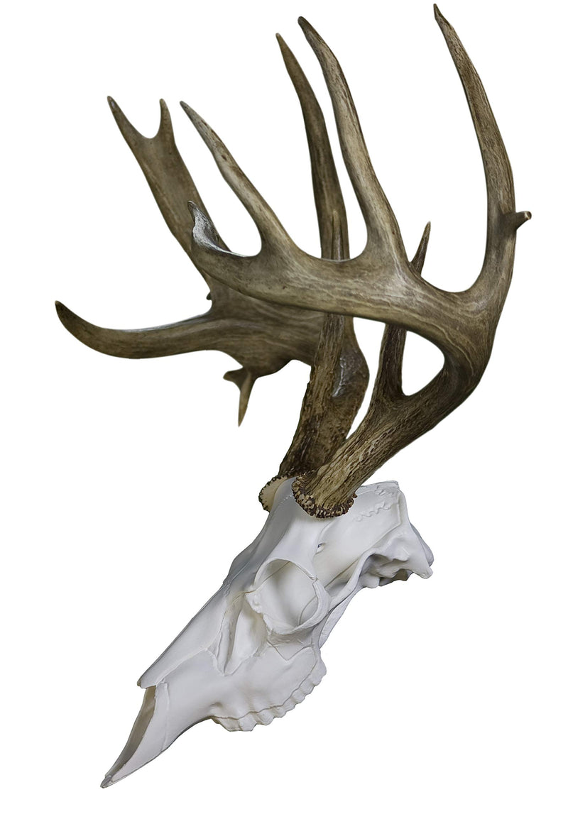 [AUSTRALIA] - Mountain Mike's Reproductions Skull Master Antler Mounting Kit Medium 