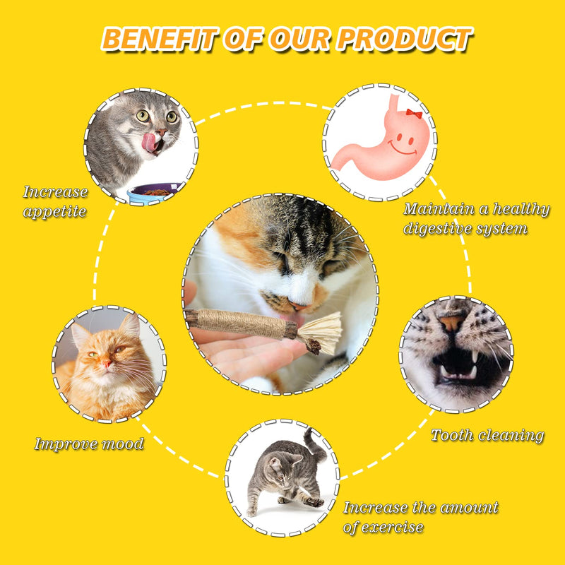 Cat Chew Toy Kitten Teething Toys Catnip Toys Kitty Cleaning Interactive Indoor Bunny Chew Toys Silvervine Sticks for Aggressive Chewers, All Ages, Breeds, 3 Pcs - BeesActive Australia