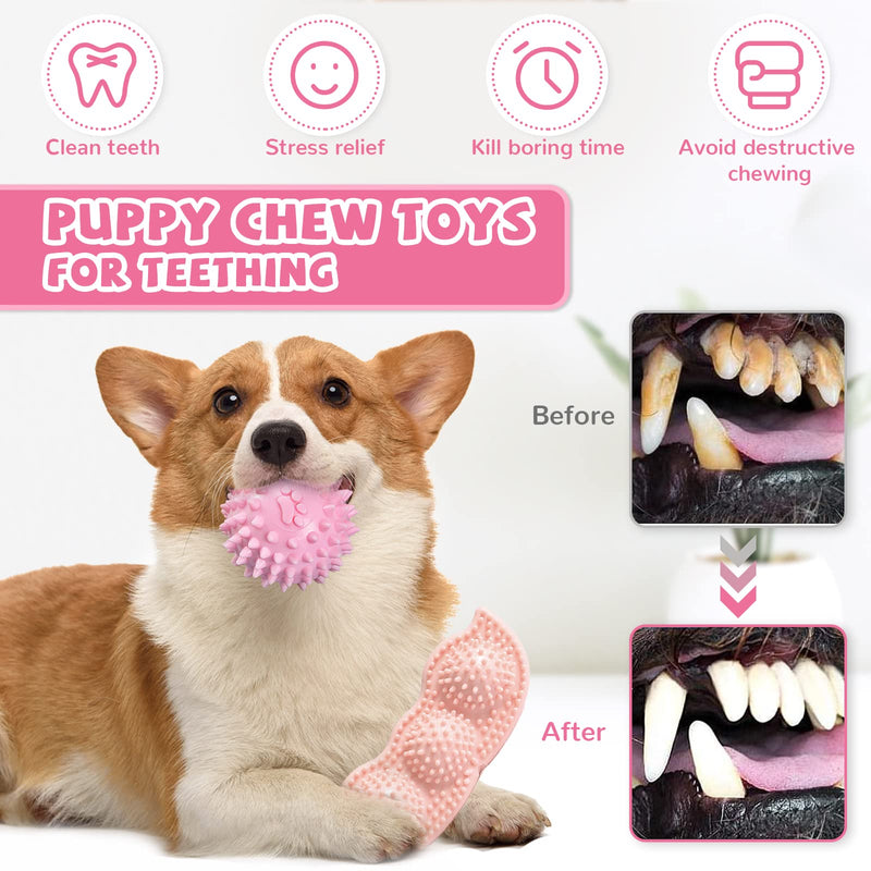 ABRRLO 6 Pack Puppy Chew Toys for Teething Small Dogs Toys for Puppies Cute Pink Soft Durable Rubber Pea Ball Rope Pet Toy for Anxiety Relief Cleaning Teeth and Protect Oral Health - BeesActive Australia