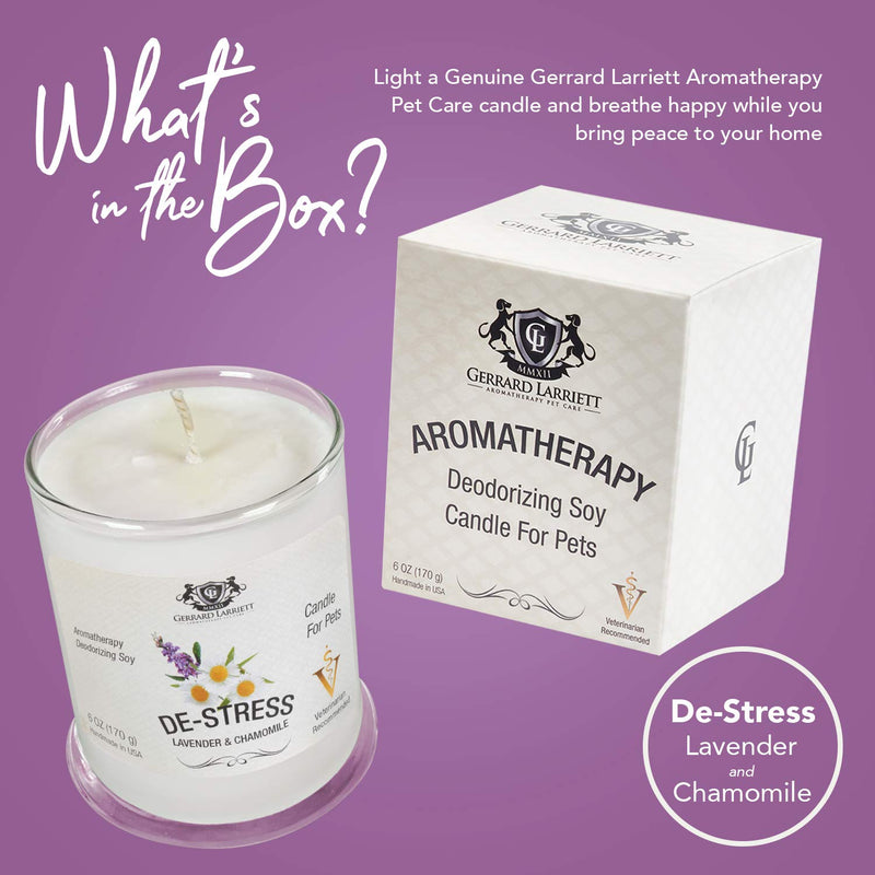 Lavender & Chamomile Aromatherapy Deodorizing Soy Candle for Pets, Pet Odor Eliminator & Animal Lover Gift - 6 OZ (170 g) Lavender & Chamomile - BeesActive Australia