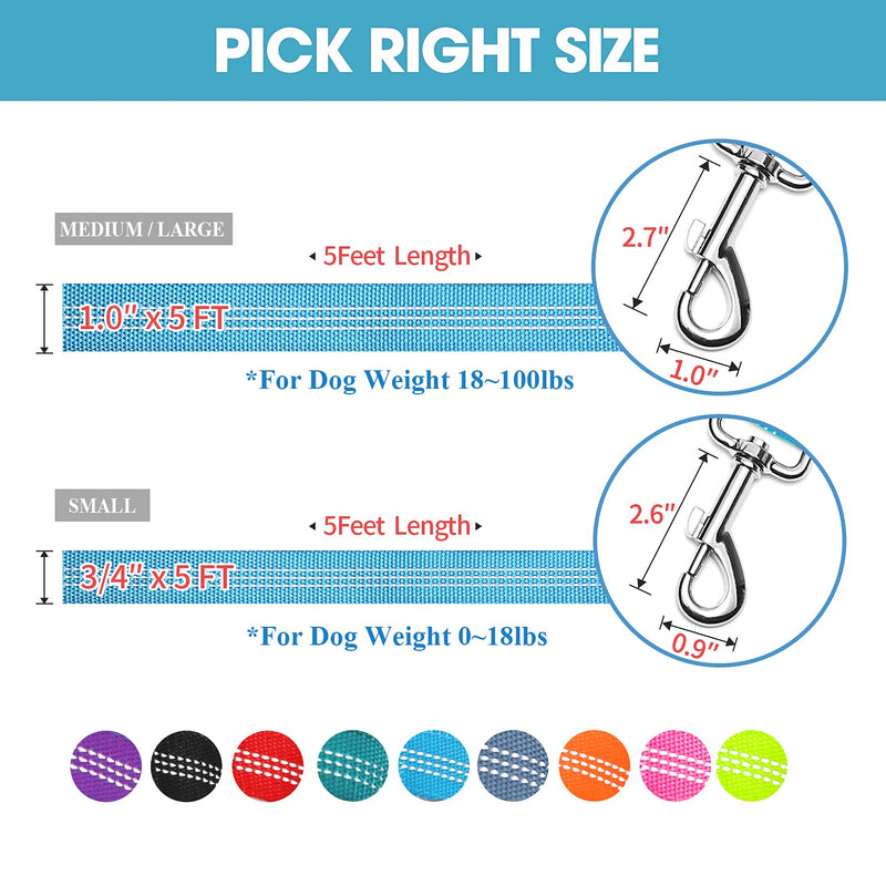 BAAPET Two Handle Dog Leash, Dual Soft Padded Handles with Traffic Control Handle Leash for Small Medium or Large Dogs Medium/Large (1.0'' x 5 FT) Blue - BeesActive Australia