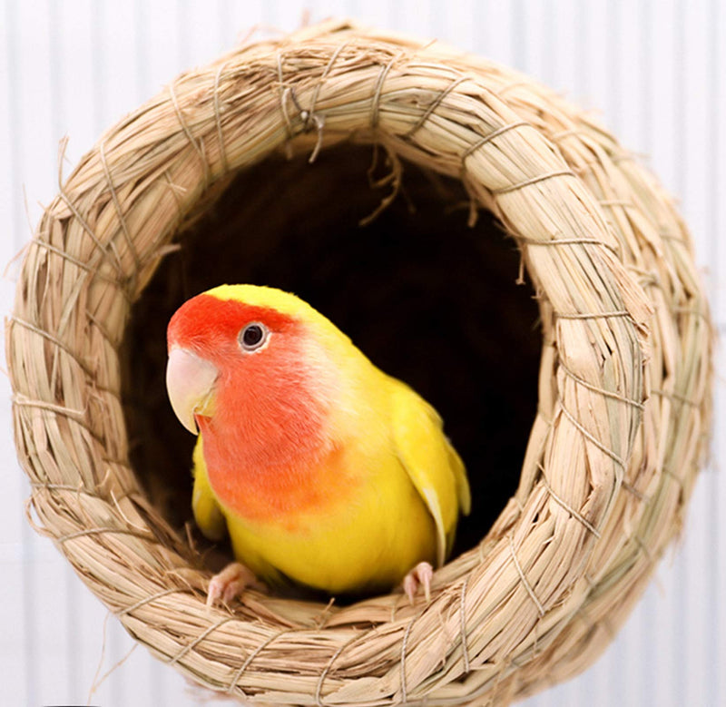 2Pcs Birdcage Straw, Lucky Interests Natural Fiber Simulation Birdhouse, Resting Breeding Place for Birds, Handmade Birds Nest Straw Bird, Hideaway from Predators, Provides Shelter from Cold Weather - BeesActive Australia