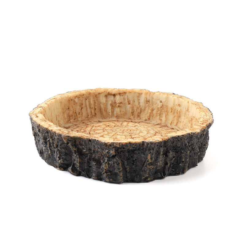 CalPalmy 2 Pack Reptile Food Bowls - Reptile Water and Food Bowls, Novelty Food Bowl for Lizards, Young Bearded Dragons, Small Snakes and More - Made from Non-Toxic, BPA-Free Plastic 4" x 4" x 0.9" - BeesActive Australia