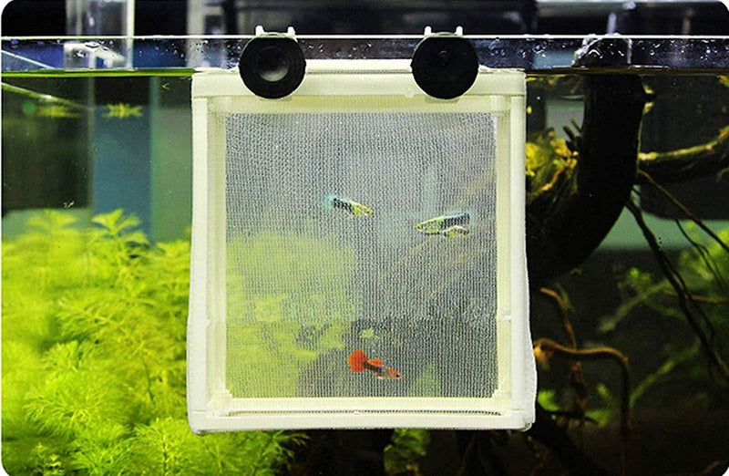 COMOK Fish Hatchery Breeder Box Aquarium Separation Net Nylon Incubator Mesh Fish Breeding Tanks Isolation Box White Square - BeesActive Australia
