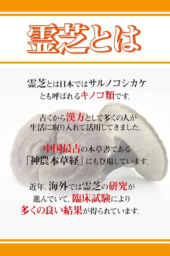 Nippon Chemist Reishi Renewal Version 100 tablets 93% raw materials supplement Contains beta glucan - BeesActive Australia