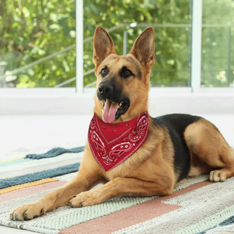 Dog Bandana Scarf Triangle Bibs Pet Accessories Cat Kerchief Black Border Red Colorful Paisley - BeesActive Australia