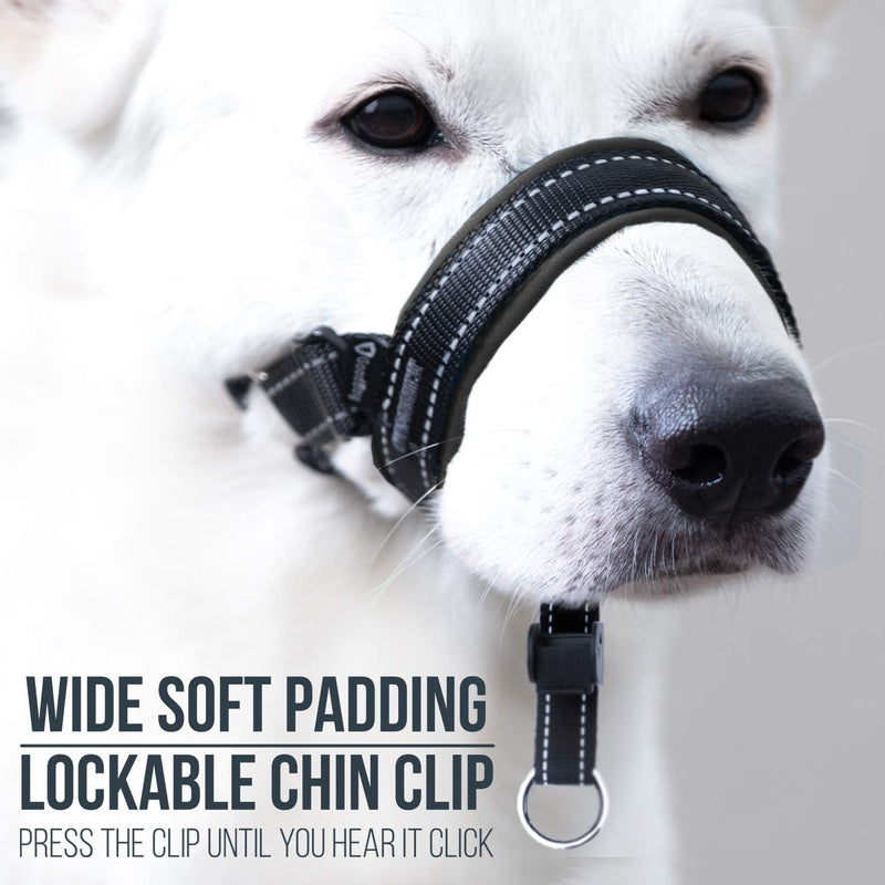 GoodBoy Dog Head Halter with Safety Strap - Stops Heavy Pulling On The Leash - Padded Headcollar for Small Medium and Large Dog Sizes - Head Collar Training Guide Included Size 2 (Pack of 1) Black Nylon / Black Padding - BeesActive Australia