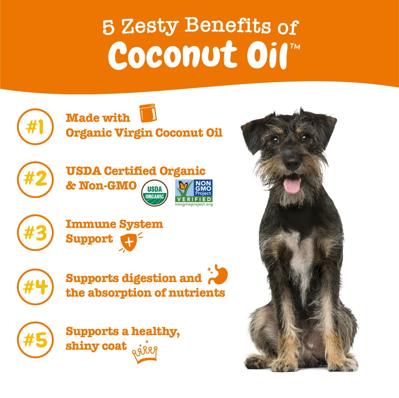 Coconut Oil for Dogs - Certified Organic & Extra Virgin Superfood Supplement - Anti Itch & Hot Spot Treatment - for Dry Skin on Elbows & Nose - Natural Digestive & Immune Support - 16 OZ - BeesActive Australia