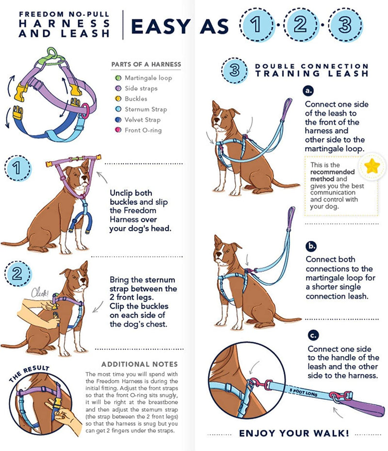 2 Hounds Design Freedom No Pull Dog Harness | Adjustable Gentle Comfortable Control for Easy Dog Walking |for Small Medium and Large Dogs | Made in USA | Leash Included 1" MD (Chest 24"- 28") Teal - BeesActive Australia