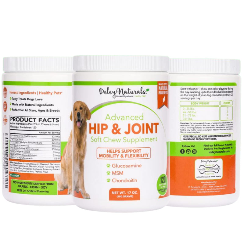 Deley Naturals, Advanced Arthritis Pain Relief for Dogs, Glucosamine Chews for Dogs with Chondroitin, MSM and Organic Turmeric, Made in USA Dog Treats, 100% Natural, 120 Soft Chews - BeesActive Australia