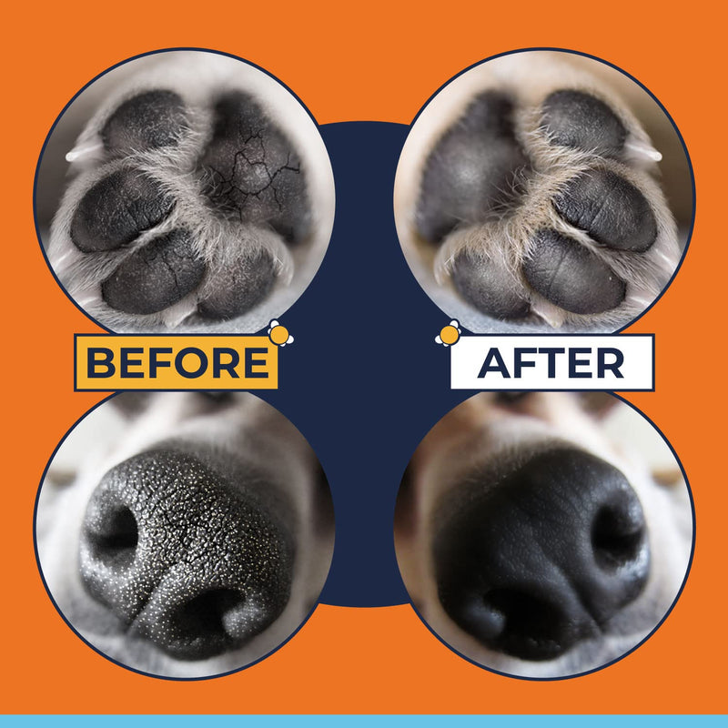Bulldog Nose Butter & Paw Balm Treatment for Dry, Cracked and Rough Paw & Snout 2oz-Also Paw Moisturizer for Dogs and Protection for Hot Pavement-Dog Nose & Paw Balm,Paw Cream & Snout Soother for Dogs Pack of 1 - BeesActive Australia