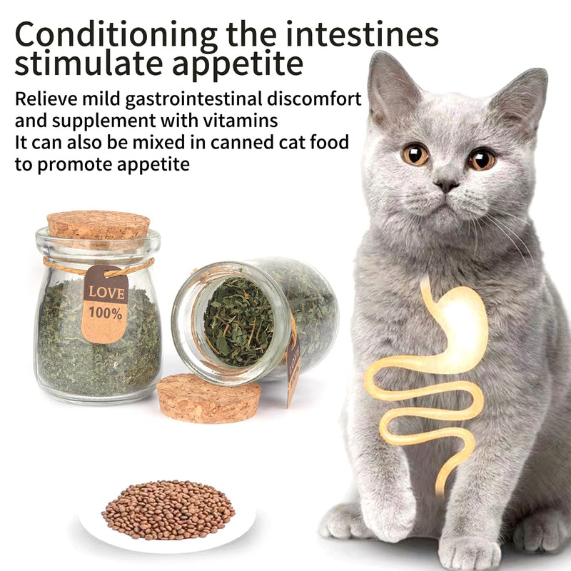 2 Pack Bottled Catnip Powder, Cat Edible Toys, Chewable Cat Toys, Clean Teeth Cat Treats Toys.Catnip Toy 2 pieces Cat toy - BeesActive Australia