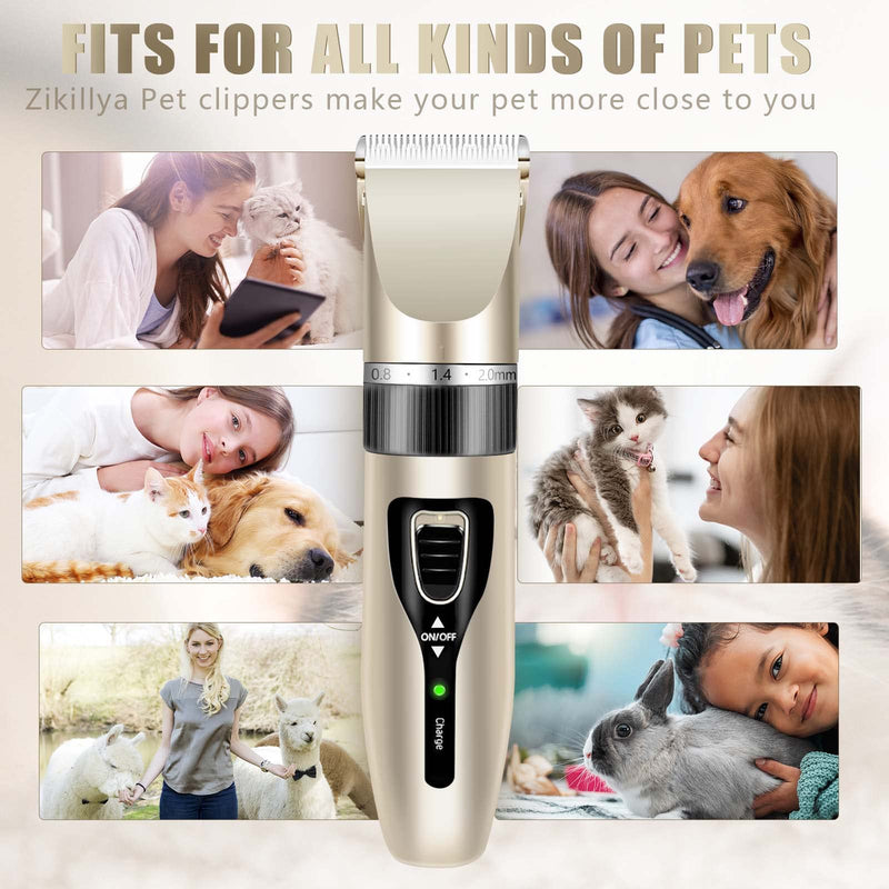 Dog Grooming Clippers,Low Noise Cordless Dog Grooming Kit for Grooming Thick Coats Dog Shears Rechargeable Dog Clippers for Grooming for Dogs, Cats and Other Pet Grooming kit (Gold) Gold - BeesActive Australia