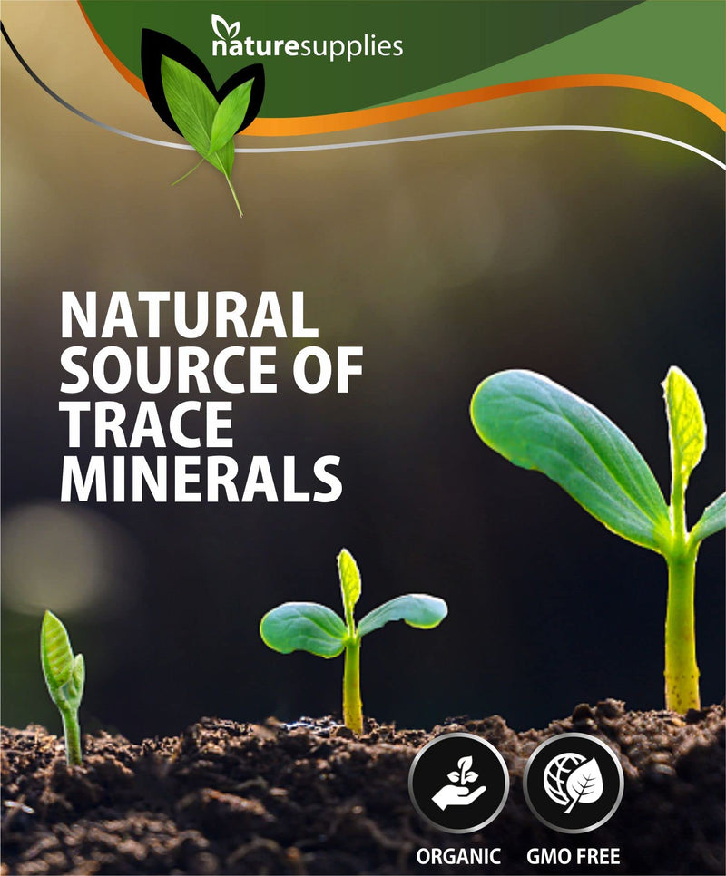Fulvic Acid Minerals 30ml Bottle - 40 Million Years Old - 33 Organic Amino Acids - Premium Detox Antioxidant Liquid, GMO, Chemicals Free - Naturesupplies 30 ml (Pack of 1) - BeesActive Australia