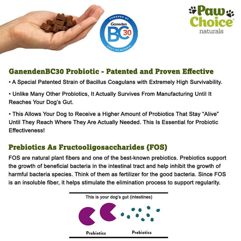 Probiotics for Dogs with Prebiotics - Daily Chews for Digestion, Regularity, Diarrhea Relief, Plus Supports Immune System and Health - Natural Supplement and Treat Made in USA - BeesActive Australia