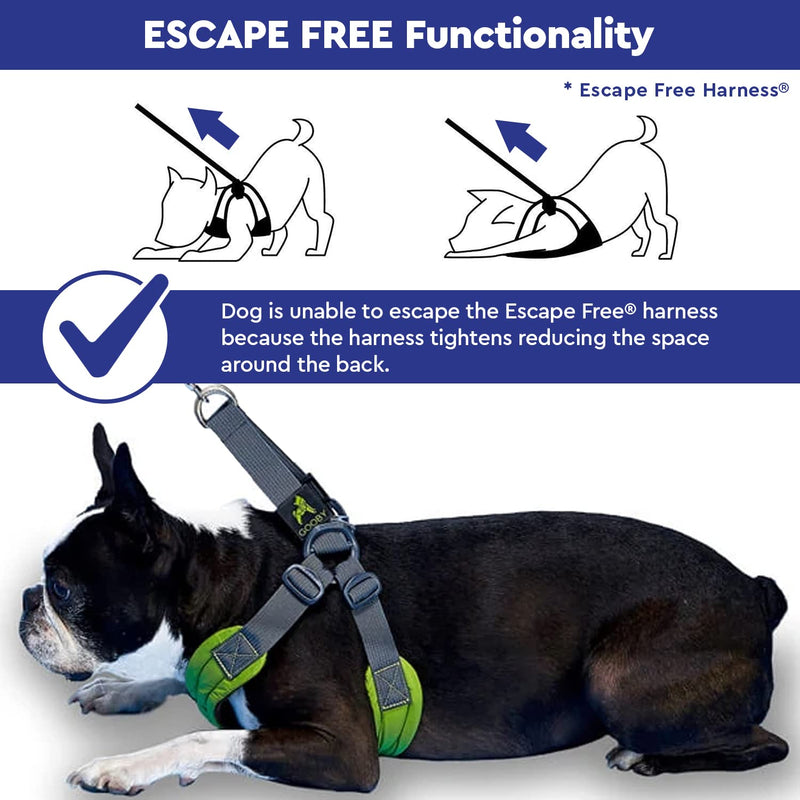Gooby Escape Free Memory Foam Harness - No Pull Step-in Small Dog Harness with Four Point Adjustment - Perfect on The Go Dog Harness for Medium Dogs No Pull and Small Dogs for Indoor and Outdoor Use Green Medium Chest (14.25~21.5") - BeesActive Australia