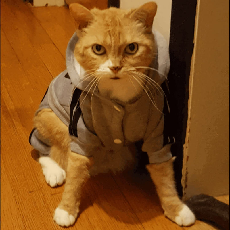 Pet Cat Dog Cute Outfit Clothes Hoodie Jumpsuit Tracksuit Jacket Winter Sweater 4-Legs Style Grey for Puppy Small to Medium Dogs Boy and Girl Large - BeesActive Australia