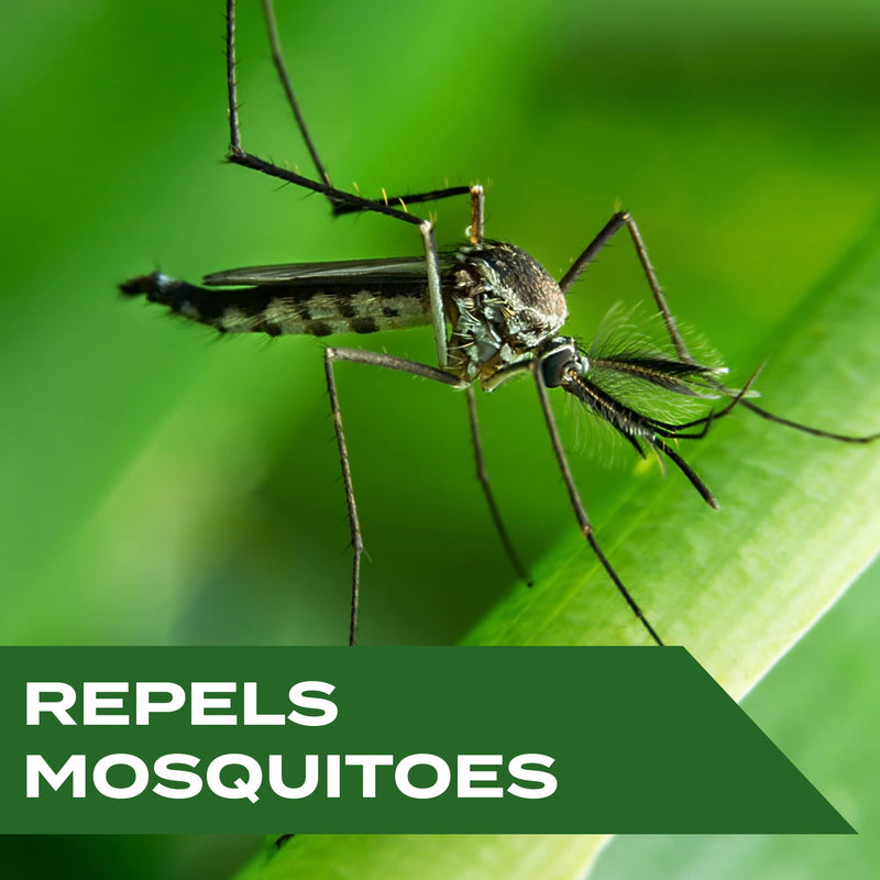 STEM for Mosquitoes: DEET Free Spray with Botanical Extracts; 4 fl. oz. - BeesActive Australia