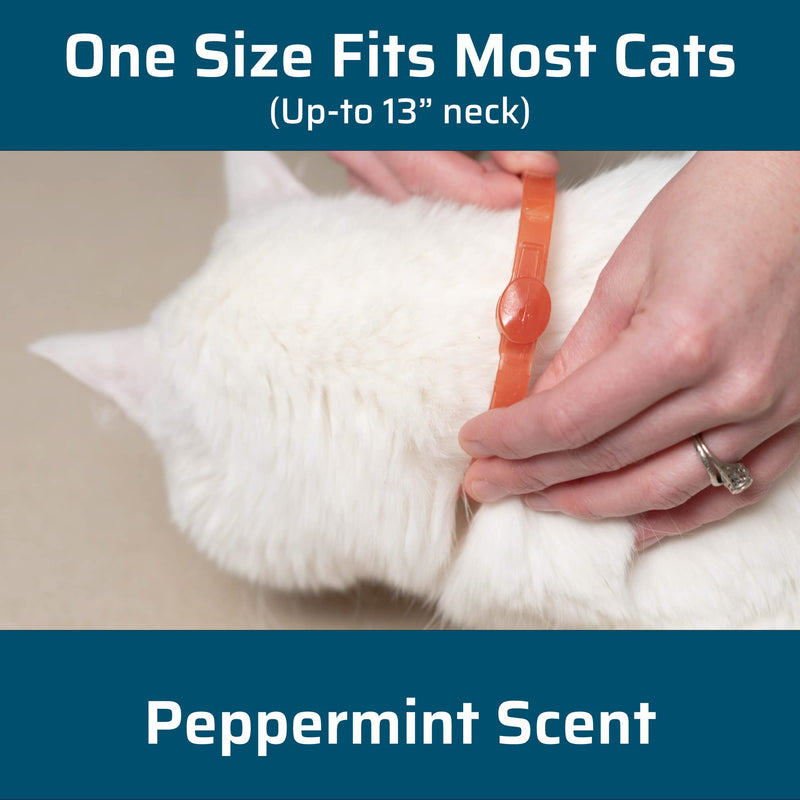 Wondercide - Flea and Tick Cat Collar - Flea, Tick, and Mosquito Repellent, Prevention for Cats - with Natural Essential Oils - Pet and Family Safe - Up to 4 Months Protection - BeesActive Australia