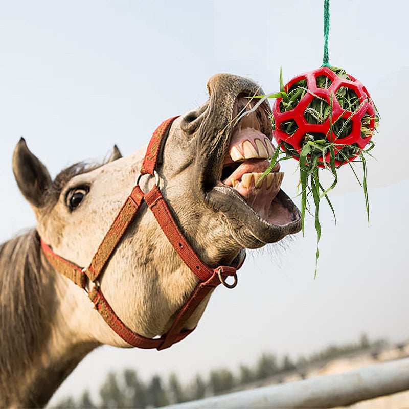 Besimple 2 Pack Horse Treat Ball Hay Feeder Toy, Goat Feeder Ball Hanging Feeding Toy for Horse Goat Sheep Relieve Stress(Red) Red - BeesActive Australia