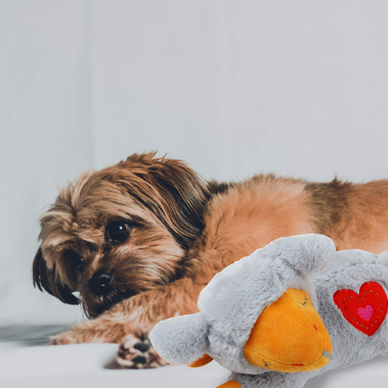 ALL FOR PAWS Heart Beat Dog Toy, Puppy Sleeping Buddy Cuddle Toy Dog Soothing Plush Toy, Puppy Stuffed Animal Toys Heart Beat Sheep Grey - BeesActive Australia