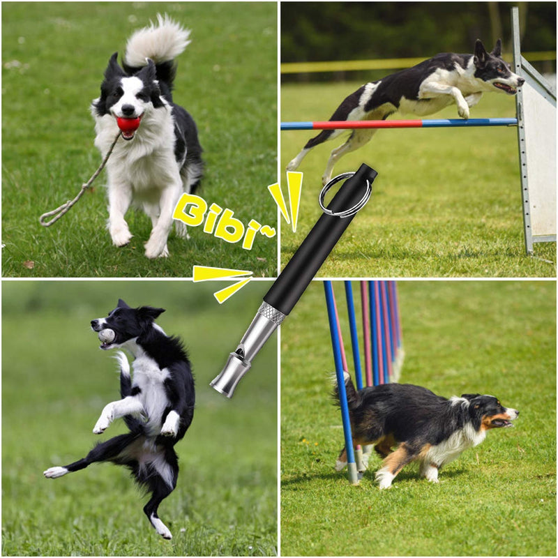 JYLM Dog Whistle, 2022 New 2PCS Ultrasonic Dog Whistle to Stop Barking Neighbors Dog, Professional Adjustable Silent Dog Whistle Training Tools for Dogs with Black Strap Lanyard, Medium - BeesActive Australia