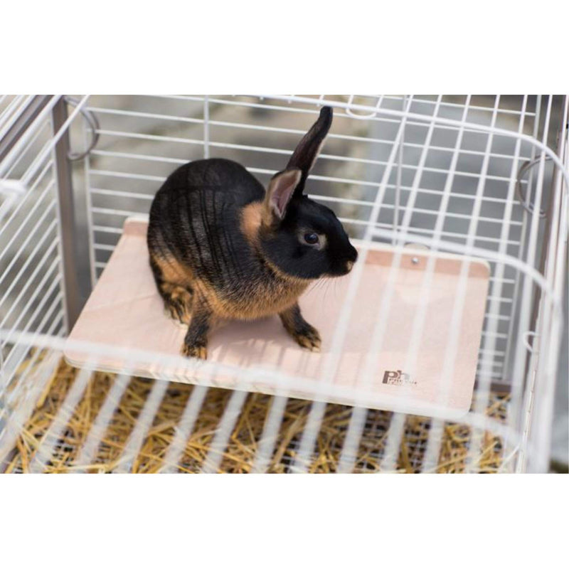 Prevue Pet Extra Large Wooden Platform Shelf - 3203 - BeesActive Australia