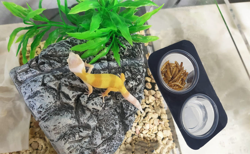 MRTIOO Enhanced Crested Gecko Feeding Ledge , Reptile Food Bowls and Water Dish for Lizard Or Other Small Pet Amphibian Ledge Accessories Supplies, with 1oz Plastic Feeding Cups 1oz 100 cups - BeesActive Australia