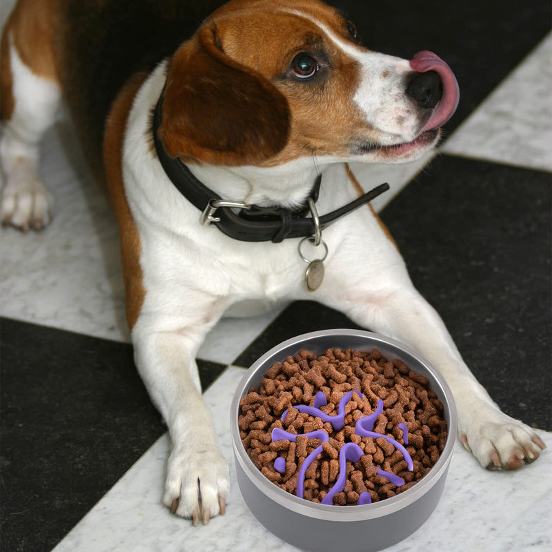 Jaoul Slow Feeder Dog Bowls Insert, Puzzle Slow Feeder with Octopus Suction Cups for Small Medium Large Size Dog Bowls Large(5.5inch) Purple - BeesActive Australia