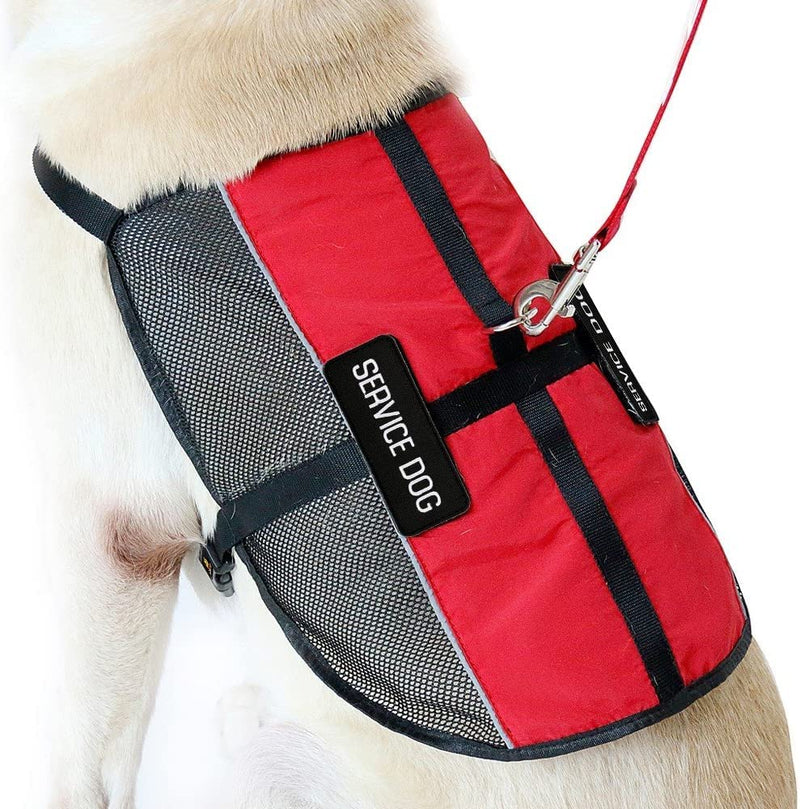 Service Dog Vest for PET Multiple Removable Patches/Therapy/in-Training/Service M( 22.8-27" Girth) - BeesActive Australia