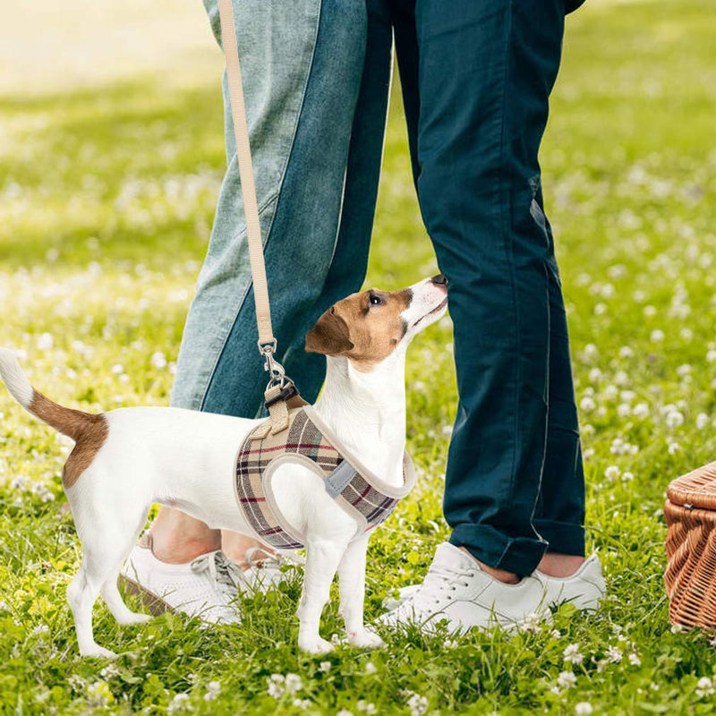 PUPTECK Adjustable Pet Harness Collar and Leash Set for Small Dogs Puppy and Cats Outdoor Training and Running, Soft Mesh Padded Reflective Vest Harness S: Chest girth: 14.5-17in Collar: 9-11.5in Beige - BeesActive Australia