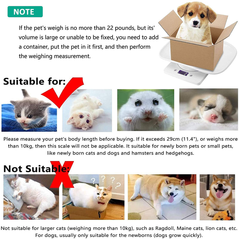 Digital Pet Scale, Small Animal Scale with Tape Measure, Multifunction Kitchen Food Scale, Weighing Max 22lbs, Size 12"x8" Inch, LCD Electronic Weight Scale for Kitten/Puppy/Hamster/Little Bird(White) - BeesActive Australia