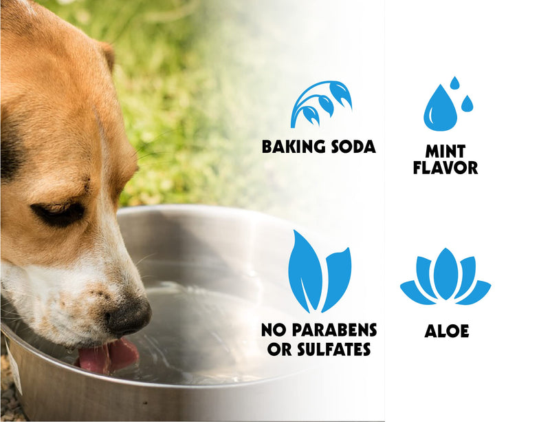 Petkin Plaque Spray, Cool Mint, 4 Fl Oz – Cleans Teeth & Gums, Removes Plaque & Tartar, Freshens Breath & Whitens Teeth with Baking Soda - Ideal Cat & Dog Dental Spray with No Brushing or Rinsing - BeesActive Australia